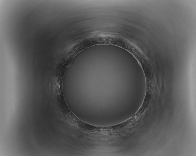 X0000115231013200911061123