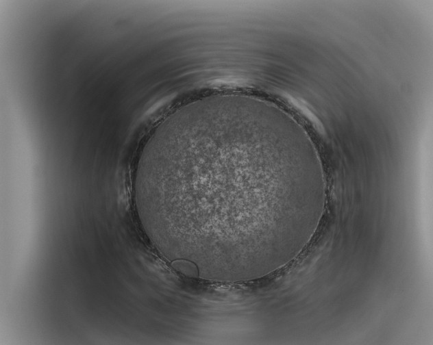 X0000115231015200911061123