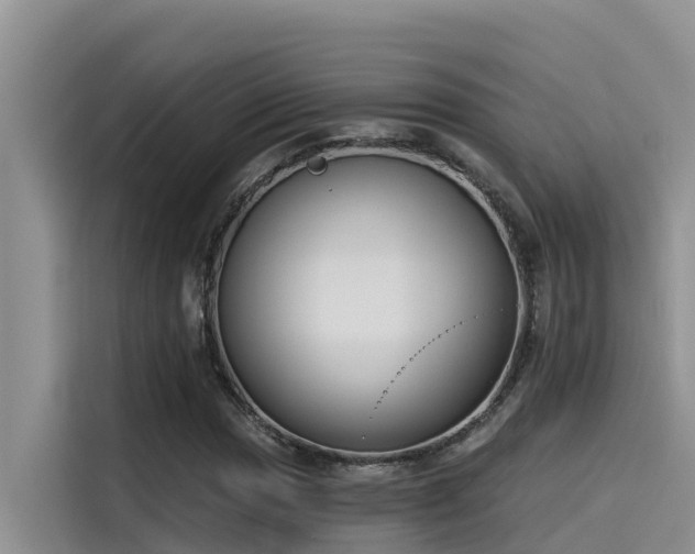 X0000115231017200911061123