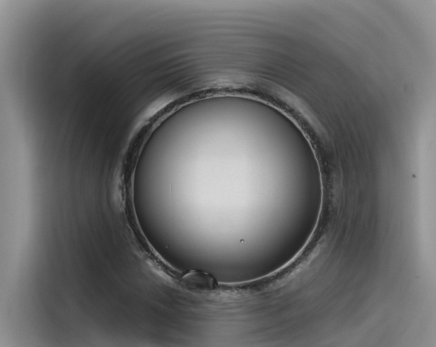 X0000115231018200911061123