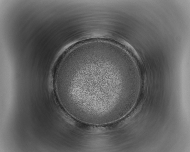 X0000115231019200911061123