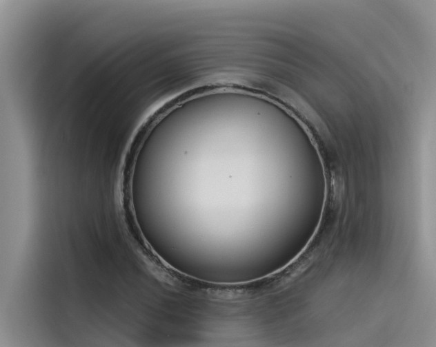 X0000115231020200911061123