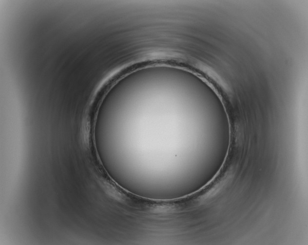 X0000115231021200911061123