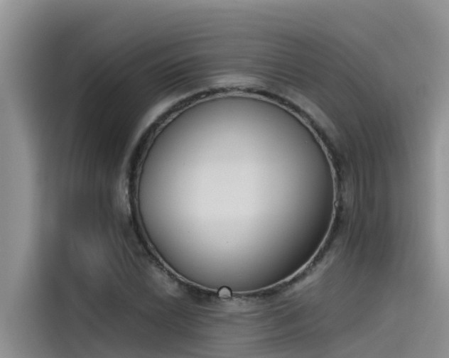 X0000115231022200911061123