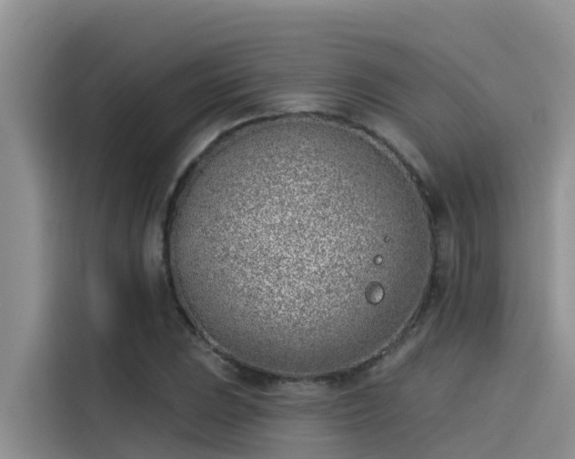 X0000115231023200911061123