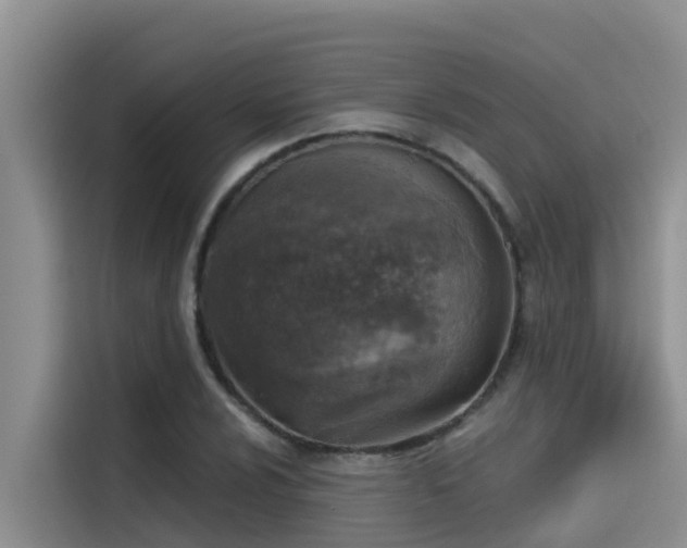 X0000115231024200911061123