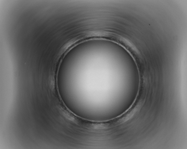 X0000115231025200911061123
