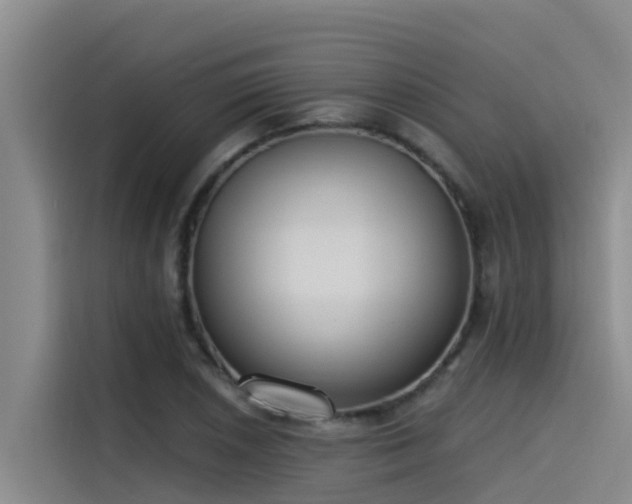 X0000115231026200911061123