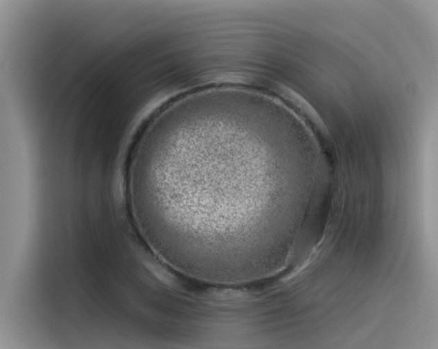 X0000115231027200911061123