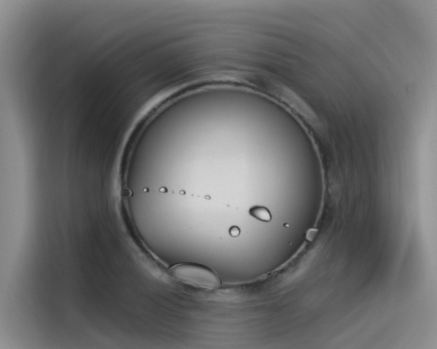 X0000115231028200911061123