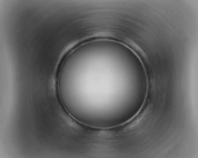 X0000115231029200911061123