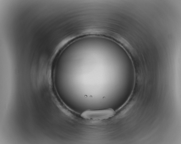 X0000115231030200911061123