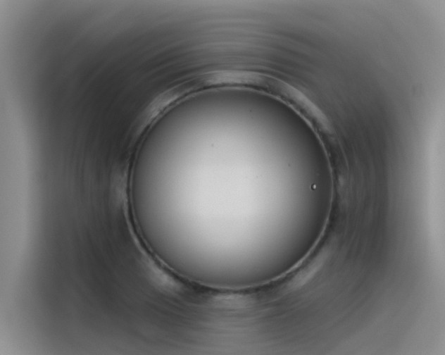 X0000115231033200911061123