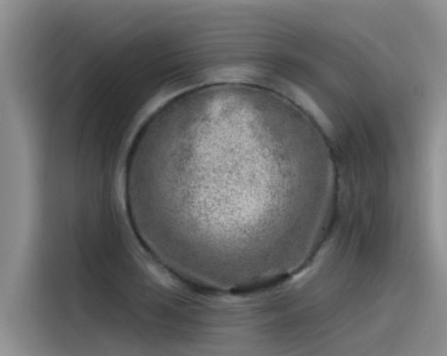 X0000115231035200911061123