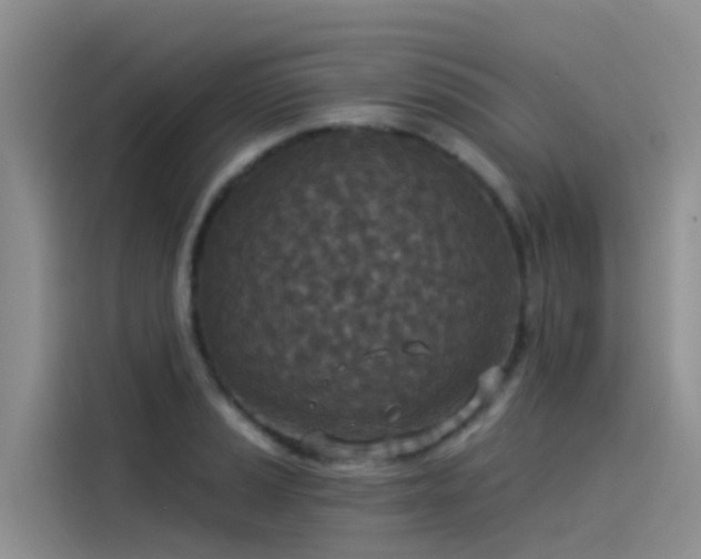 X0000115231037200911061123