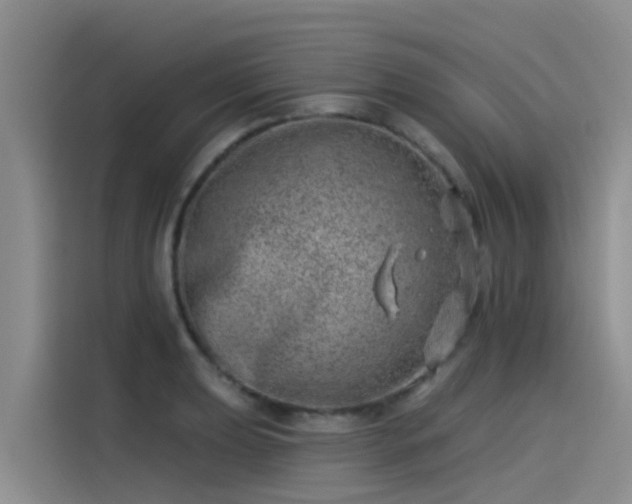 X0000115231039200911061123