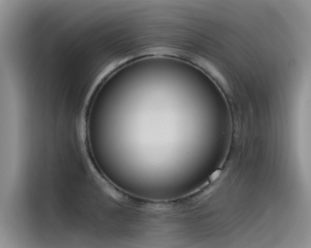 X0000115231040200911061123