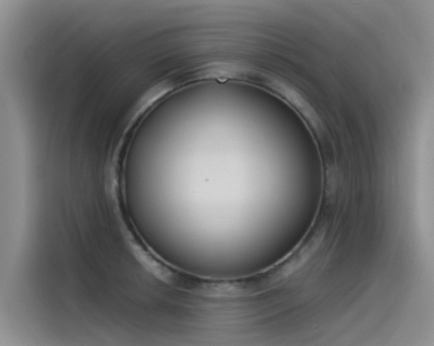 X0000115231042200911061123