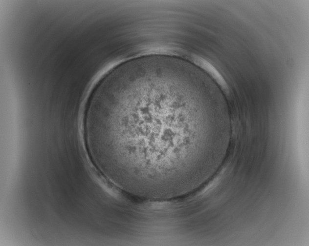 X0000115231043200911061123