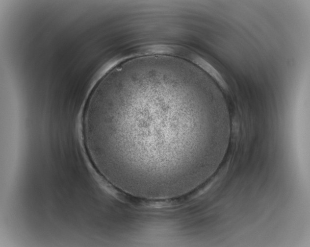 X0000115231047200911061123