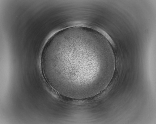 X0000115231051200911061123
