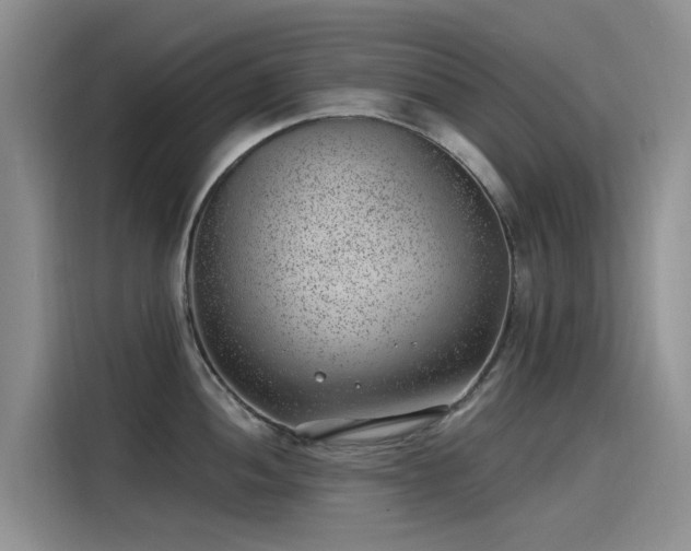 X0000115231052200911061123