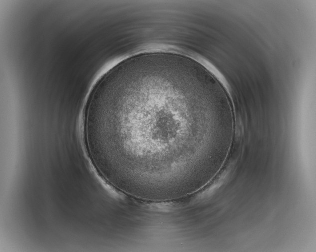 X0000115231053200911061123