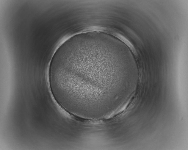 X0000115231055200911061123