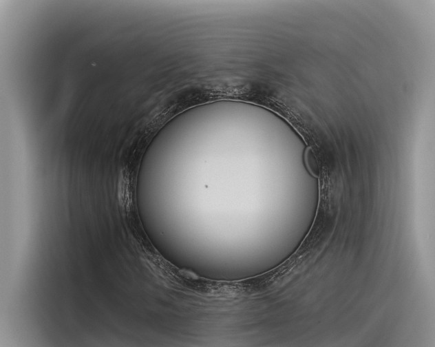 X0000115231058200911061123