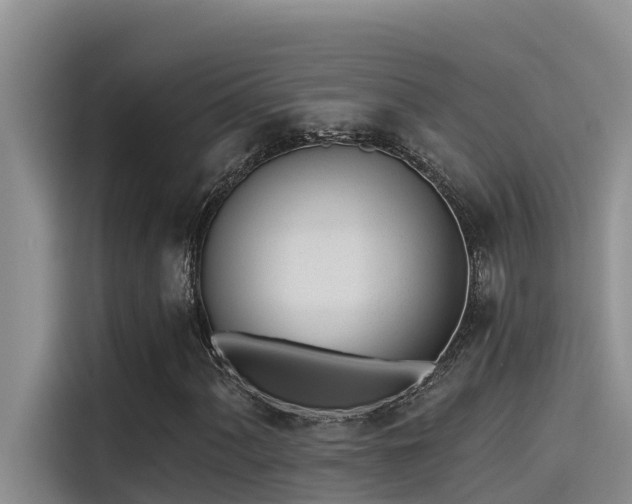 X0000115231060200911061123