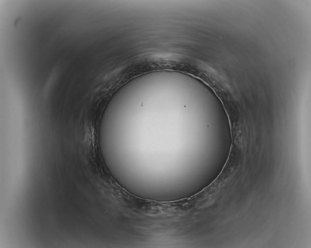 X0000115231061200911061123