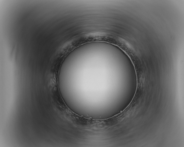 X0000115231062200911061123