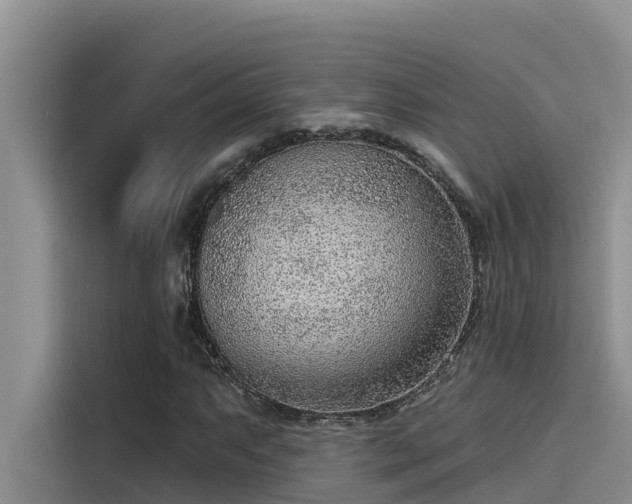 X0000115231063200911061123