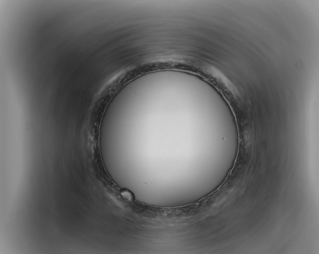 X0000115231064200911061123