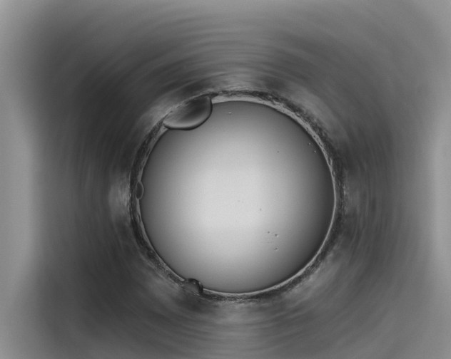X0000115231065200911061123