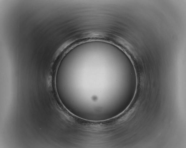 X0000115231066200911061123