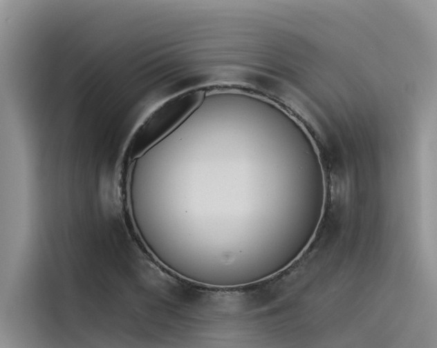 X0000115231068200911061123