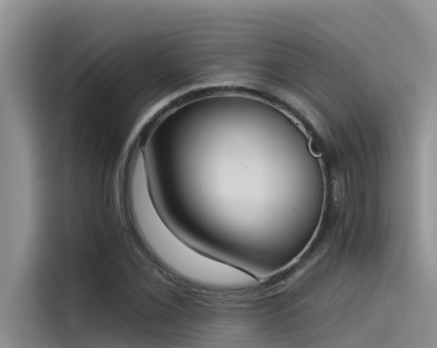 X0000115231069200911061123
