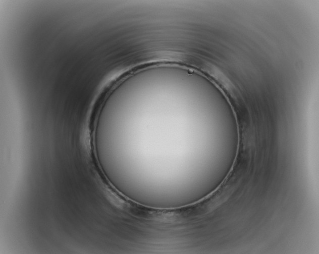 X0000115231072200911061123