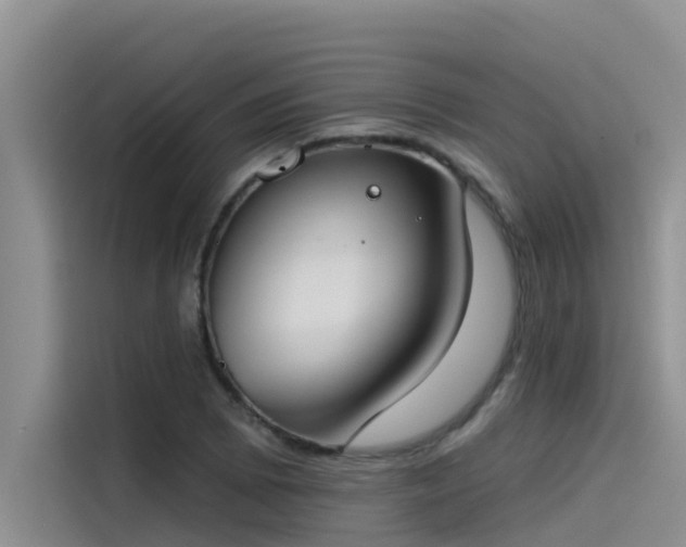 X0000115231073200911061123