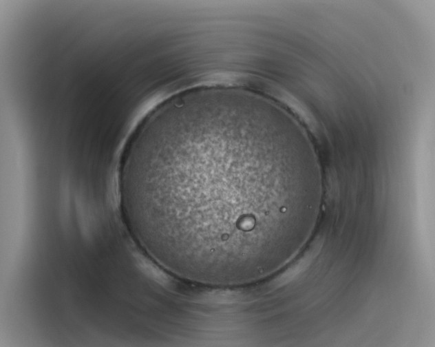 X0000115231075200911061123