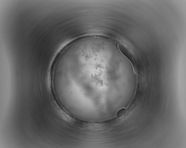 X0000115231076200911061123