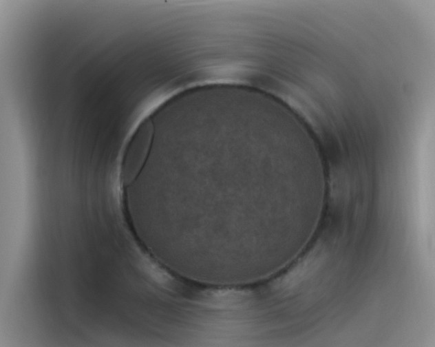 X0000115231077200911061122