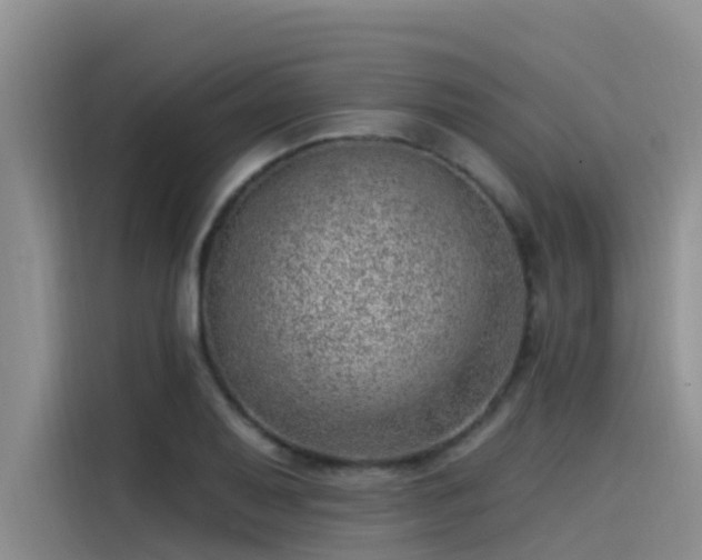 X0000115231079200911061122