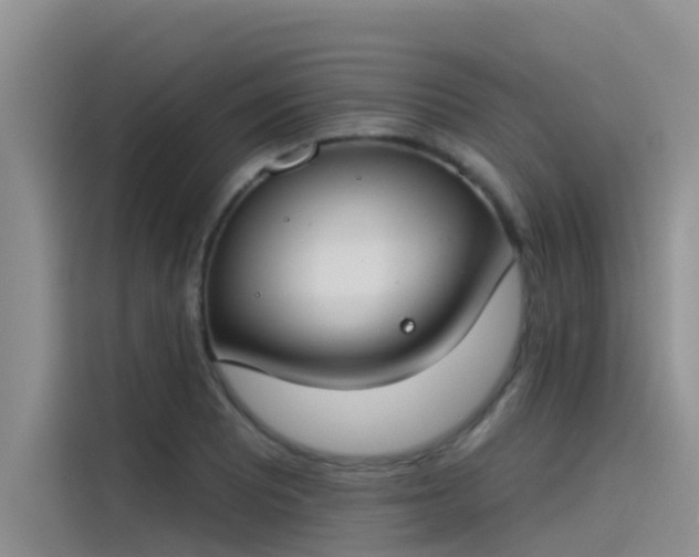 X0000115231081200911061122