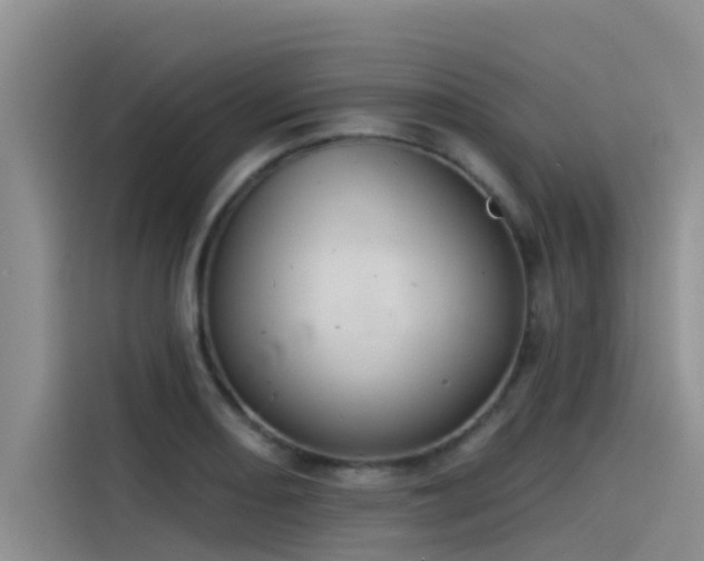 X0000115231082200911061122