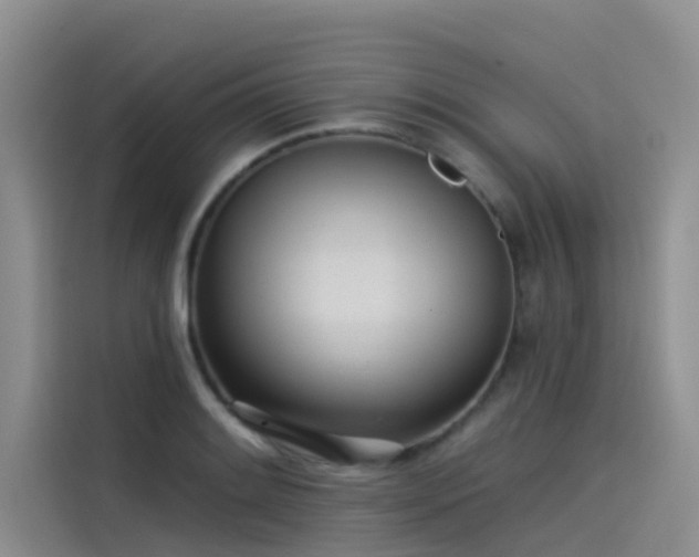 X0000115231084200911061122
