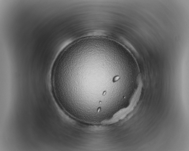 X0000115231087200911061122