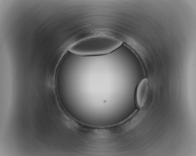 X0000115231089200911061122