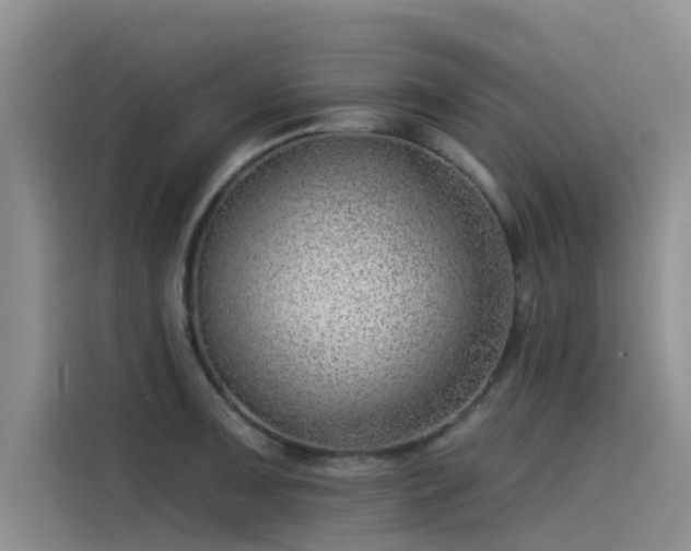 X0000115231091200911061122